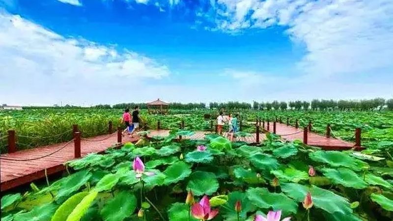 学校蔬菜配送注意事项