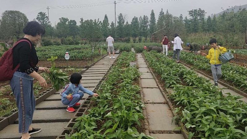 农民合作社联合社审计标准：关键要素与合规要点