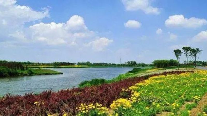 农业产业园农旅融合：如何打造双赢模式**