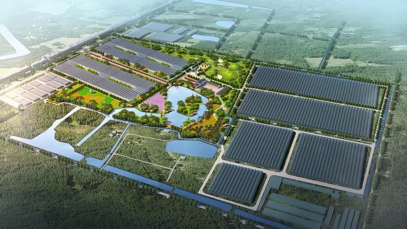 农业种植公司报价清单，如何甄别性价比与合规性？**