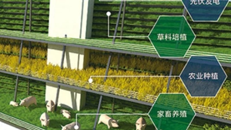 海南台风多，温室大棚如何扛住十七级风