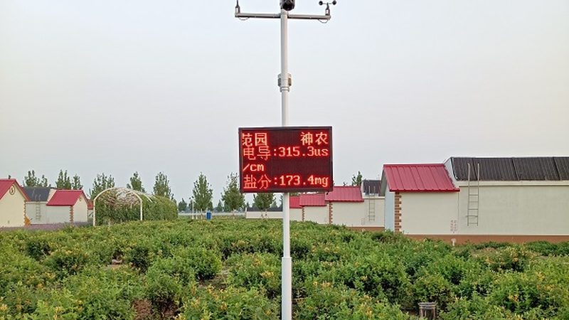 绿色食品加盟还是代理？揭秘加盟与代理的差异化优势
