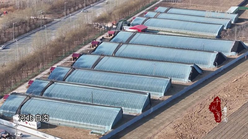 农产品追溯平台：农业现代化的重要一环