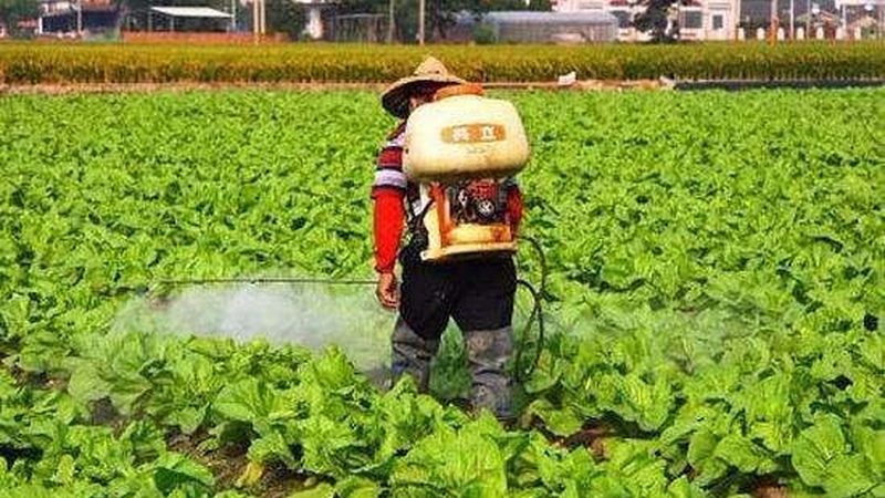 休闲观光农业产业园与农家乐：本质区别与运营策略