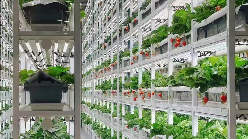 山地丘陵植保无人机：如何选择最适合的利器