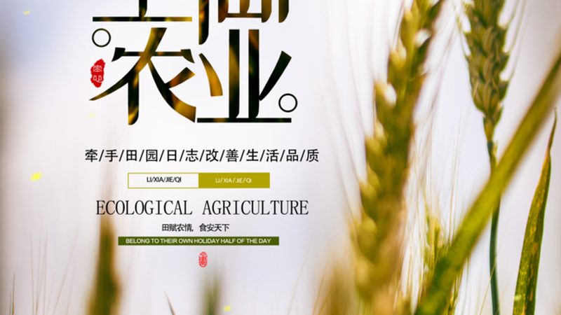 四川农业无人机植保，如何选择性价比高的解决方案？**